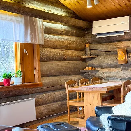 Bear's Hide